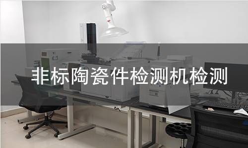 非标陶瓷件检测机检测