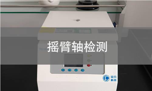 摇臂轴检测
