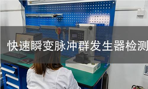 快速瞬变脉冲群发生器检测