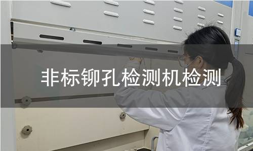 非标铆孔检测机检测