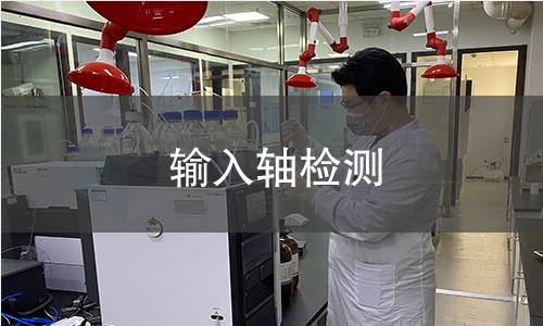 输入轴检测