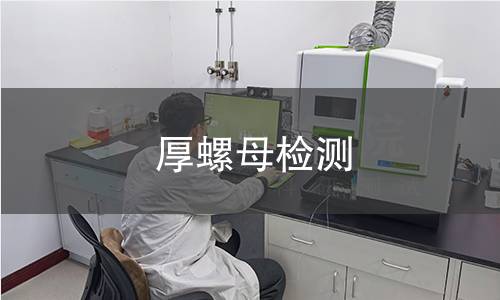 厚螺母检测