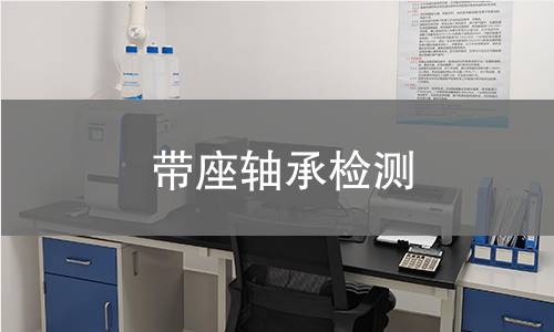 带座轴承检测