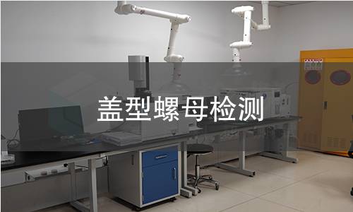盖型螺母检测,盖型螺母检测机构,盖型螺母检测报告,北检研究院检测中心