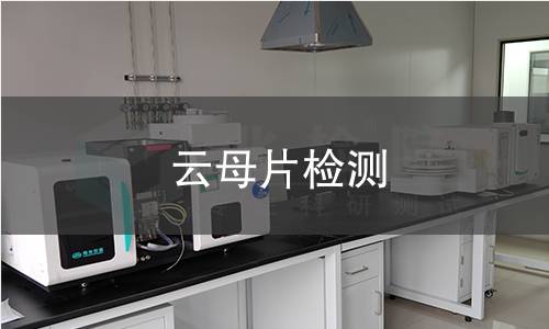 云母片检测