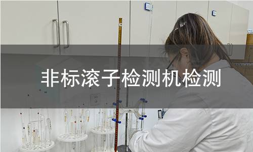 非标滚子检测机检测