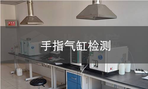 手指气缸检测,手指气缸检测机构,手指气缸检测报告,北检研究院检测中心