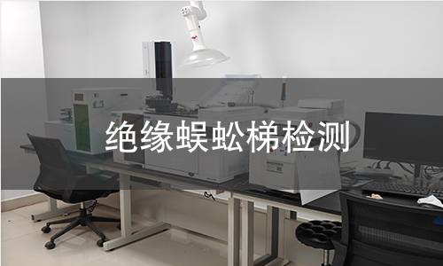 绝缘蜈蚣梯检测,绝缘蜈蚣梯检测机构,绝缘蜈蚣梯检测