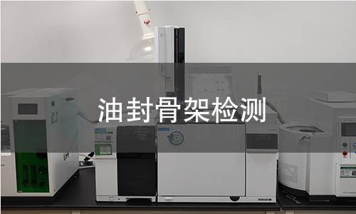 油封骨架检测,油封骨架检测机构,油封骨架检测