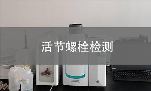 活节螺栓检测