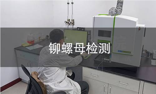 铆螺母检测,铆螺母检测机构,铆螺母检测