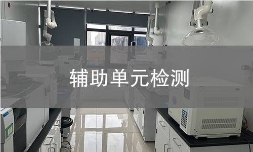 辅助单元检测
