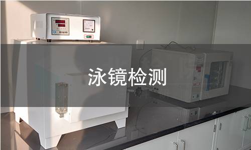 泳镜检测