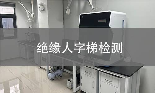 绝缘人字梯检测,绝缘人字梯检测机构,绝缘人字梯检测