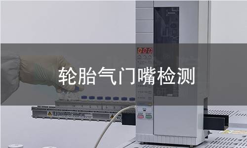 轮胎气门嘴检测,轮胎气门嘴检测机构,轮胎气门嘴密封性测试