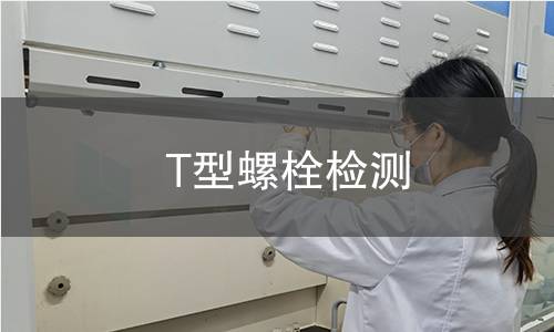 T型螺栓检测