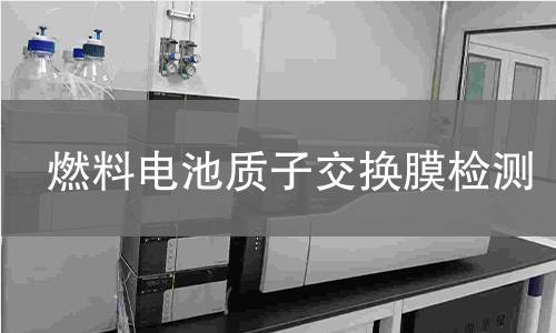 燃料电池质子交换膜检测