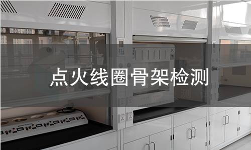 点火线圈骨架检测,点火线圈骨架检测机构,点火线圈骨架电气绝缘检测