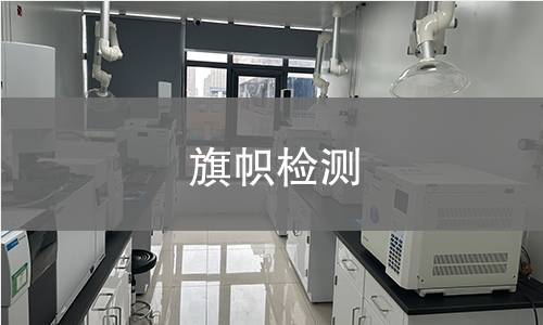 旗帜检测