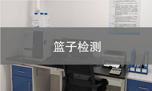 篮子检测