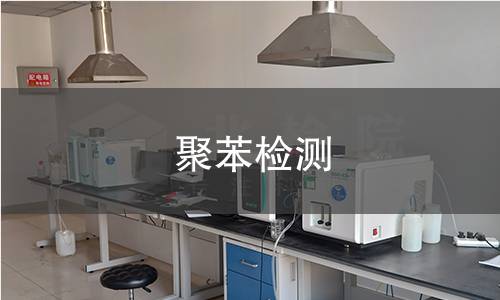 聚苯检测