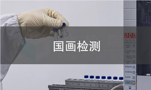 国画检测