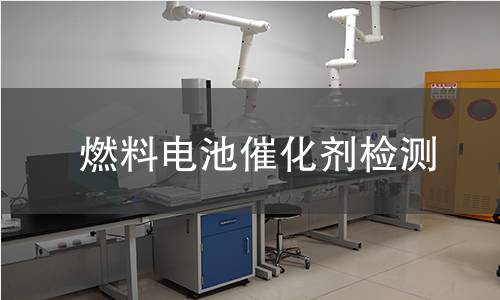 燃料电池催化剂检测