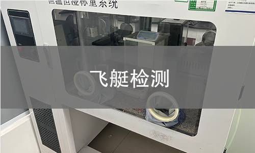 飞艇检测