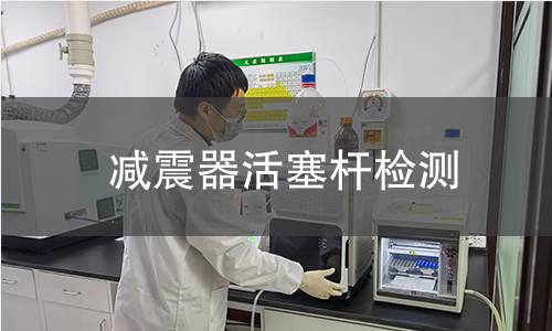 减震器活塞杆检测