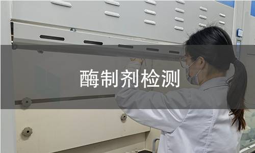 酶制剂检测
