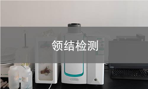 领结检测