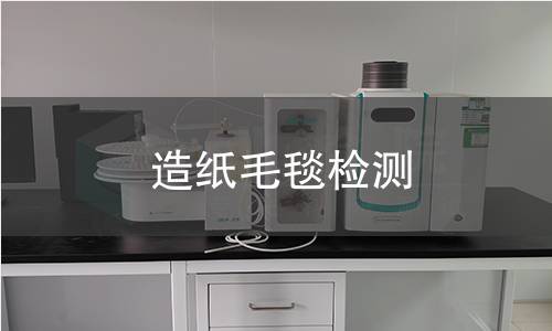 造纸毛毯检测