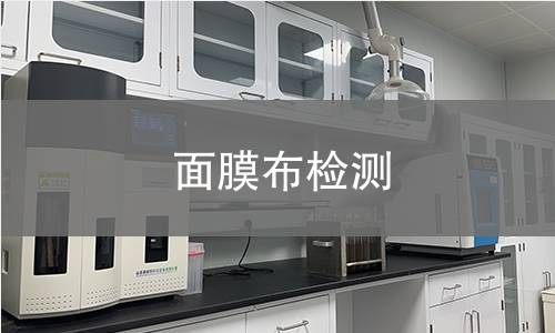 面膜布检测