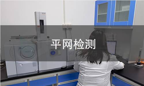 平网检测
