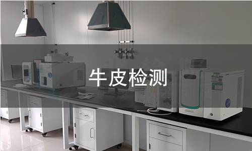 牛皮检测