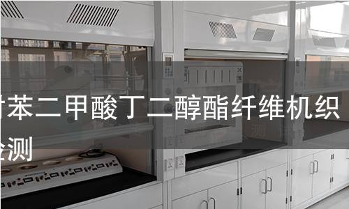 聚对苯二甲酸丁二醇酯纤维机织布检测