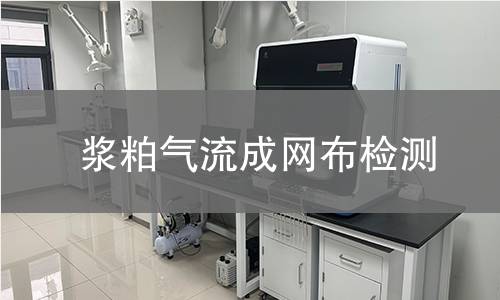 浆粕气流成网布检测