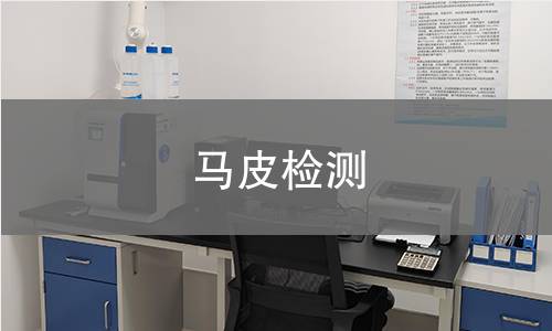 马皮检测