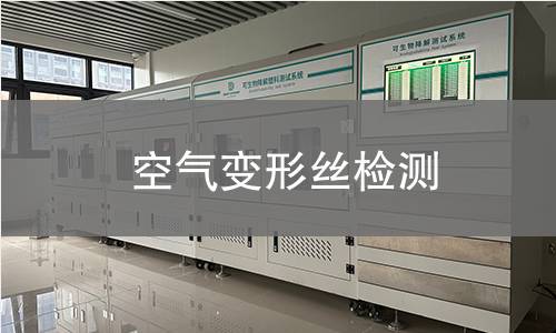 空气变形丝检测,空气变形丝检测机构,空气变形丝检测报告,北检检测中心