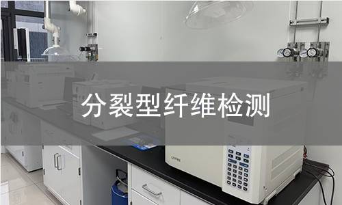 分裂型纤维检测