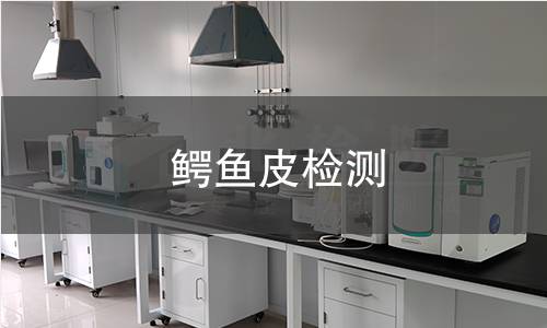 鳄鱼皮检测