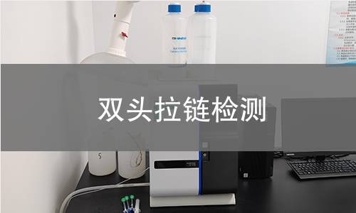 双头拉链检测