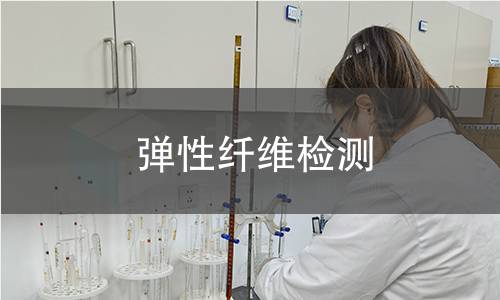 弹性纤维检测,弹性纤维检测机构,弹性纤维检测报告,北检研究院检测中心