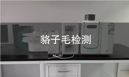 貉子毛检测