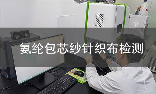 氨纶包芯纱针织布检测,氨纶包芯纱针织布检测机构,氨纶包芯纱针织布弹性检测