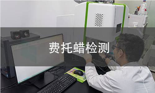 费托蜡检测
